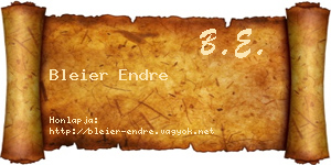 Bleier Endre névjegykártya
